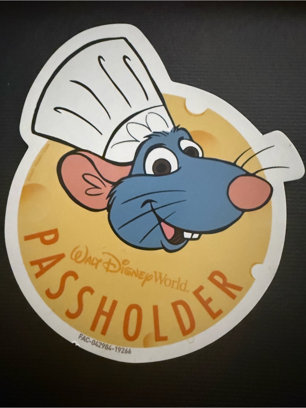Disney Remy Passholder Magnet